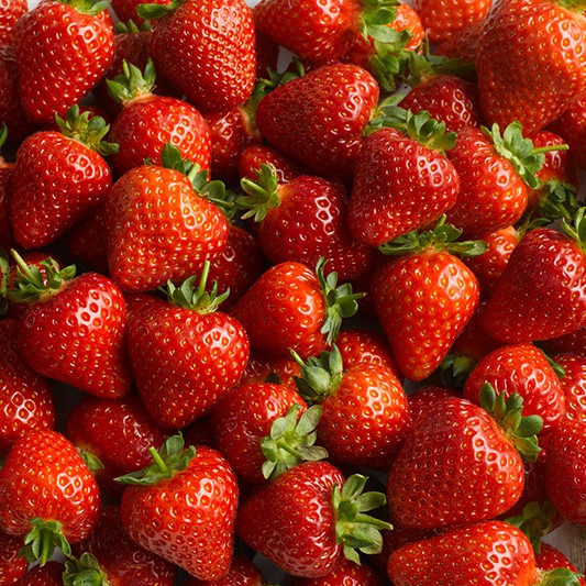 Земляника Свит Эви